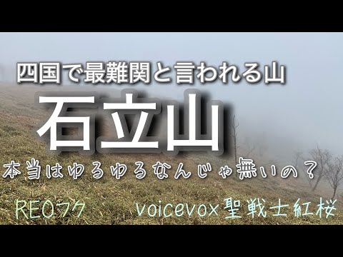 （石立山 登山）四国最難関「石立山」　そして山一面のミツマタ群生地