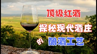 顶级红酒的秘密：酿酒师的热爱与酿酒工艺的完美结合