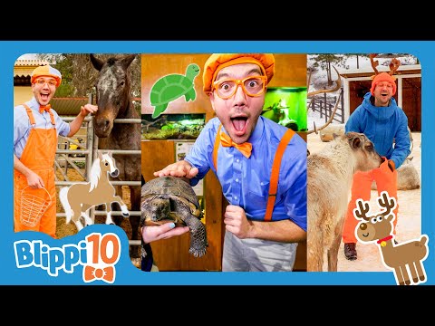 BLIPPI’S TOP 10 FAVORITE ANIMALS! | Animals For Kids | Top 10 | Educational Videos for Kids