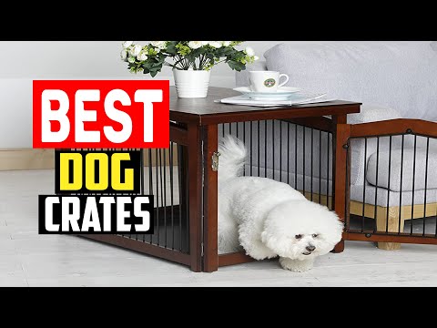 ✅Top 5 Best Dog Crates of 2023