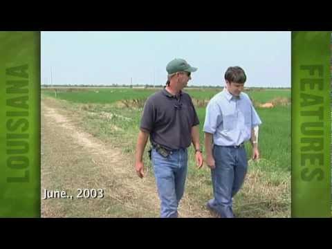 Rice Crop overview (2003)