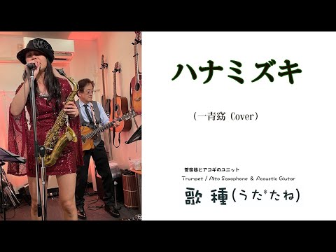 【 ハナミズキ / 一青窈 】サックスCover　宇治市　PASTIME　　20240.05.11