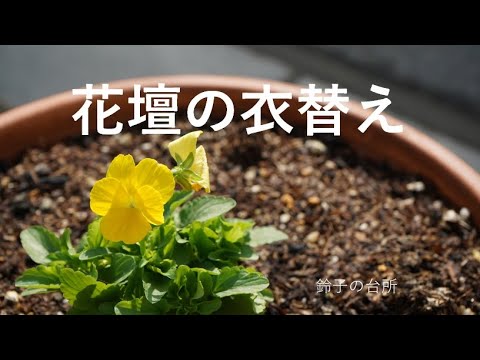 【Vlog】花壇の衣替え／ハロウィン飾り付け