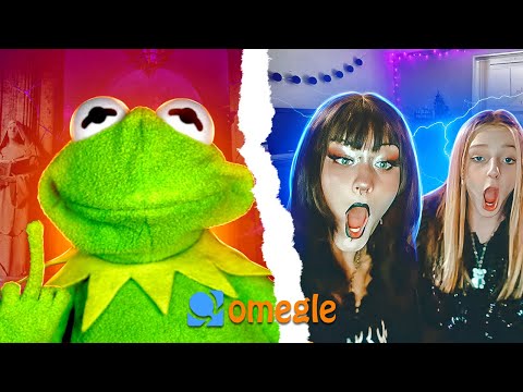 Kermit goes on a roast rampage on Omegle