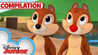 Adventures with Chip 'N Dale 🐿️ | Nutty Tales | Shake Your Tail | 1 Hour Compilation |@disneyjr