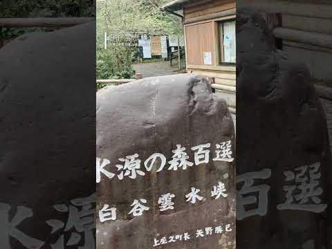 【屋久島/縄文杉】オーブ発見？もののけ姫の世界を全力で堪能！2泊3日で縄文杉と白谷雲水峡を満喫