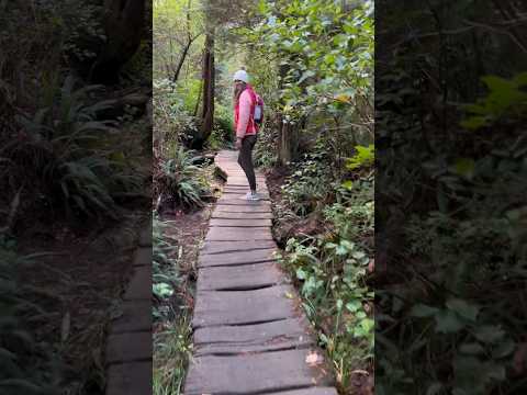 Cape flattery trail #washington #travelvlog #travel #manifesting #outdooradventure #naturelovers