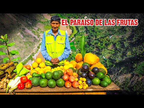 El PARAÍSO DE LAS DELICIAS en medio de los Andes: Ccota, Añancusi, Huancavelica | DOCUMENTAL