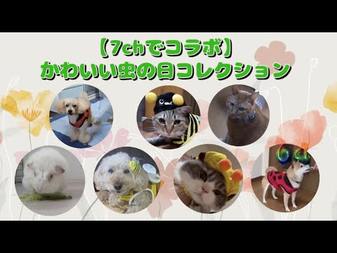 【7chでコラボ】可愛い虫の日コレクション🐛 💖