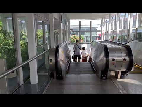 Springleaf Mrt station -Walk around