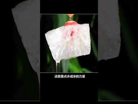 新奇百科 从小热爱科学的孩子，想象力都不会差 #科学小实验 #物理实验 #涨知识  @快手科普O3xhse82