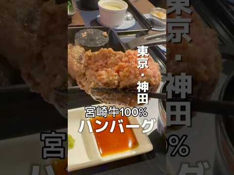 東京▶︎宮崎牛100%ハンバーグかしわ野