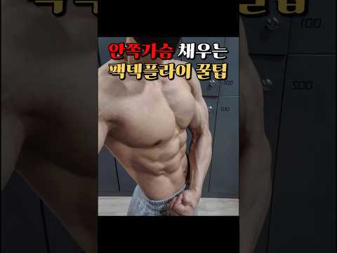 안쪽가슴 채우는 팩덱플라이 꿀팁!!