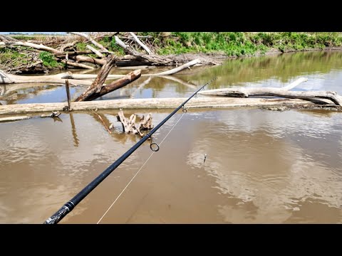 Fish were LOADED IN SHALLOW TREES!! (Almost Every Cast)