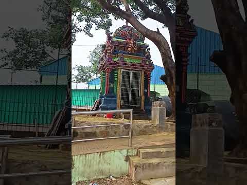 Hokanekkal #Swamy #temple #water #tamilnadu #ayappa #shots #india #devotational