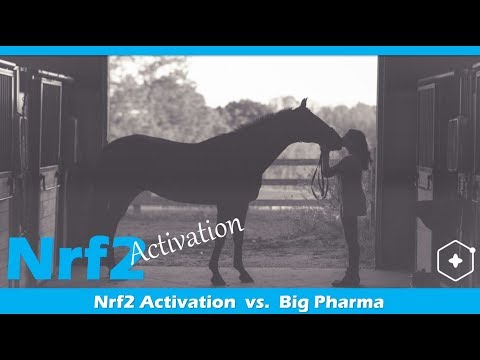 Nrf2 Activation or Pharmaceutical Drugs for Horses & Dogs