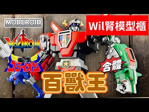 【Wil腎模型櫃】最新模型版百獸王登場！合金風格塗裝Moderoid ゴライオン／Voltron【部份塗裝】