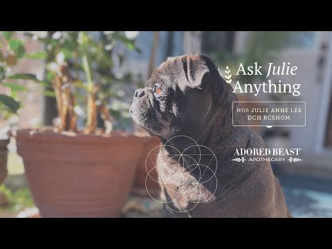 Ask Julie Anything - October 2024 Q & A Session