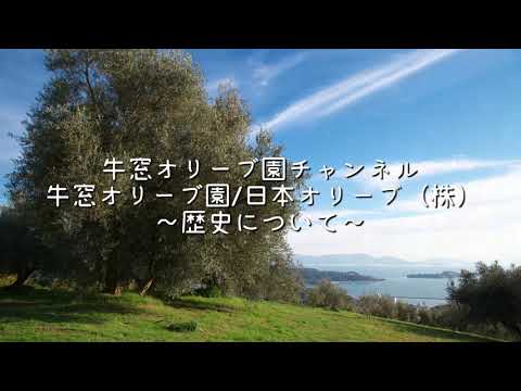 牛窓オリーブ園/日本株式会社　～歴史について～