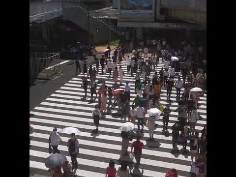 JR大阪駅前の横断歩道を渡る歩行者（上から）