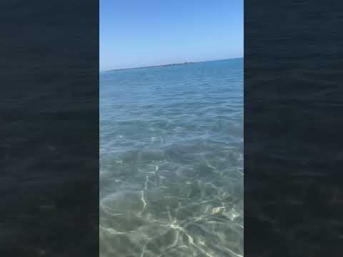 🏝️ Clear Water , Playa Fanabe , Tenerife 🏝️ #clearwaterbeach #clearwater #tenerife