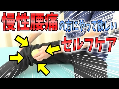 【腰痛】慢性腰痛の方に絶対にやって欲しい「縫工筋」のテニスボールマッサージ＆ストレッチポールを使ったセルフケア方法