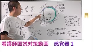 看護師国家試験対策動画　感覚器１（目）【ペンクタンク】