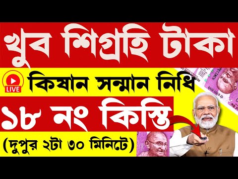 Pm kisan next payment date 2024 | Pm kisan next payment status | PM Kisan new update I #pmkisan