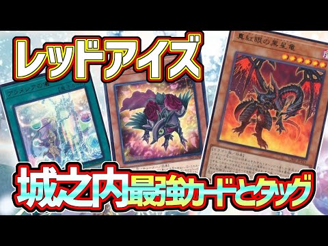 【#遊戯王】アナコンダ不在のため新たな相棒登場！勇者、ローズの力を借りたレッドアイズ『アイズローズ勇者』紹介します！