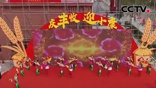 22日迎来第三个“中国农民丰收节” |《中国新闻》CCTV中文国际