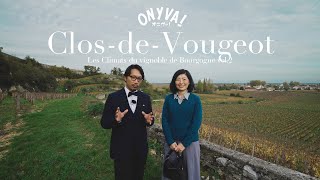 [Road to Wine] [World Heritage] Climat of Burgundy "Les Amoureuses" and "Clos de Vougeot"