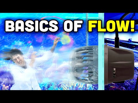 Understanding FLOW in Reef Aquariums!