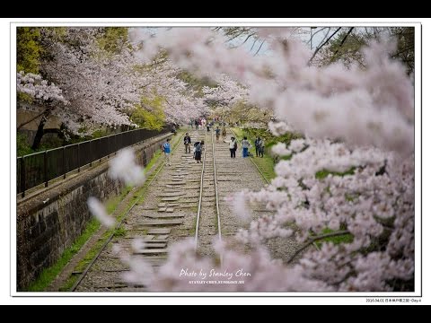 2016日本櫻之旅Day.4