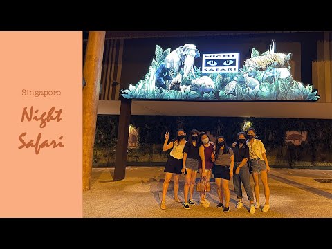 Singapore Night Safari 新加坡夜间野生动物园