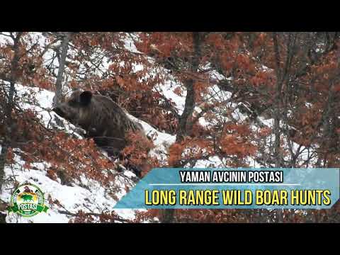 LONG RANGE WILD BOAR HUNT - UZAK MESAFE EN İYİ 5 DOMUZ AVI