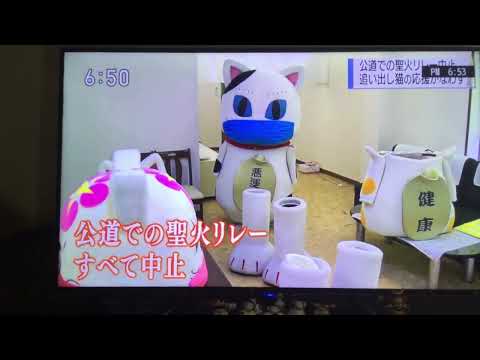 追い出し猫