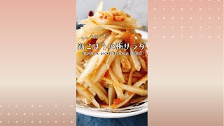 新ごぼうの梅サラダ/Burdock pickled plums salad