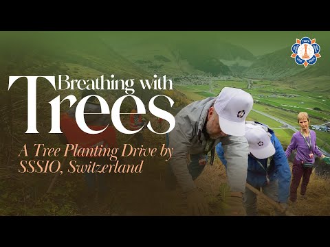 Breathing with Trees | A Tree Planting Drive by SSSIO, Switzerland | #sai100