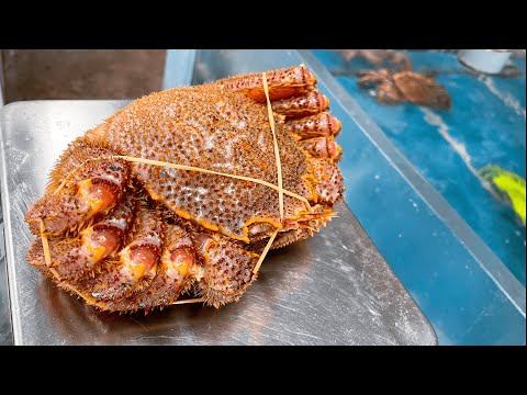 Buy horsehair crab at the morning market in Hakodate Hokkaido