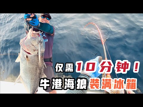 深海抽铁板，GT过瘾连杆来！Big GT caught by Speed Jigging!