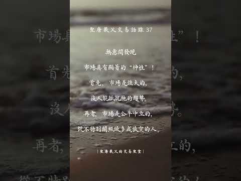 聖唐教父的交易語錄37 #交易心法 #投資交易 #聖唐教父 #交易心態 #股票 #期貨 #贏家語錄