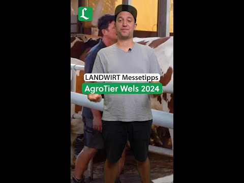 LANDWIRT Messetipps: AgroTier Wels 2024 | #shorts