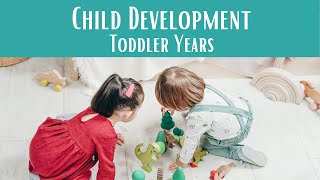 Is this normal? A Revealing Look at Toddler Development