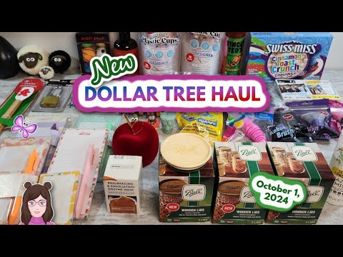 Amazing NEW DOLLAR TREE HAUL!  Awesome Finds!! Everything was $1.25! October 1, 2024