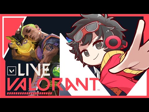 【 #VALORANT 】コンペで勝つ為に!!雑談ヴァロラント強くなるんだよぉ!!! -ブロンズ帯配信-  ⚠️参加は概要欄必読⚠️【#新人Vtuber #参加型】完全初見歓迎 / ミラー配信OK