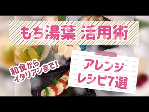 もち湯葉アレンジレシピ7選【メニュー提案】