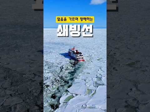 폭염을 잠시 식혀줄 영상! 일본 홋카이도 오호츠크해 유빙을 볼 수 있는  쇄빙선입니다. 영상 속 소리는 쇄빙선이 유빙을 쪼개는 소리입니다. #홋카이도 #유빙