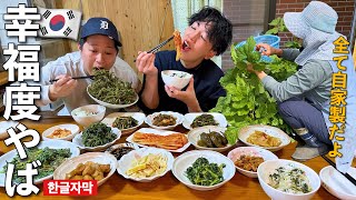 【韓国料理】これ日本！韓国の僧侶がイチから全て作るおかず達が家庭料理史上最高すぎて一瞬で身体が元気になった。まじで米が止まらない…涙