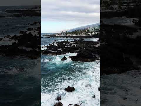 Puerto de la Cruz  | Tenerife | March 2024