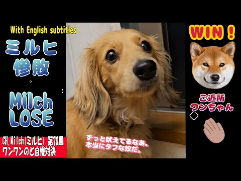 第70回ワンワンのど自慢対決  Barking contest with the neighborhood dog